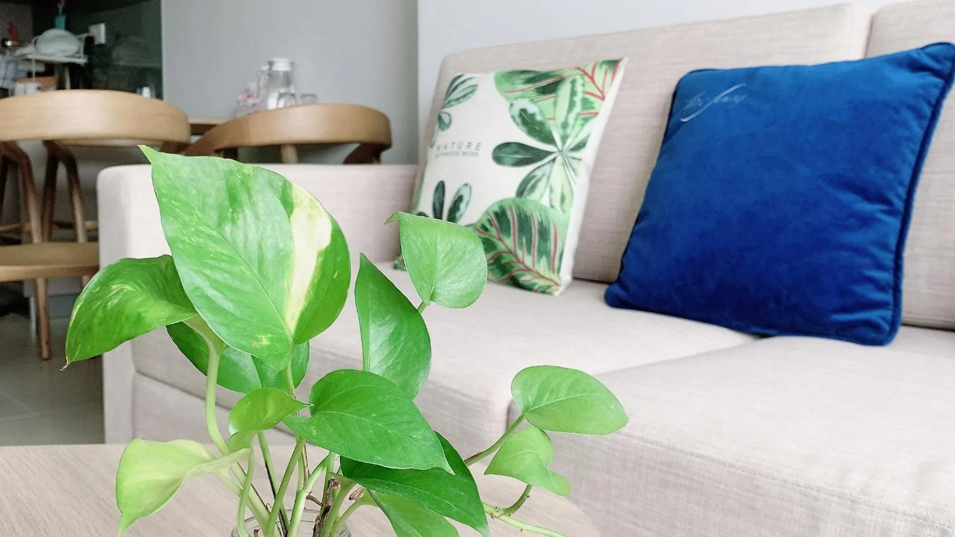 The Song Vung Tau - Bin'S House Apartment Vietnam